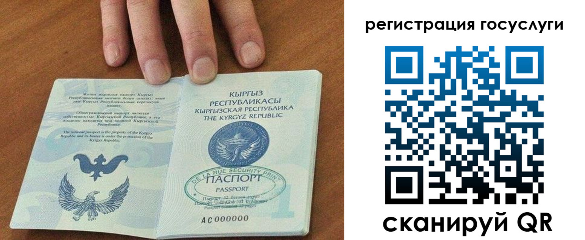 прописка ребенка в Костромской области